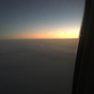 Meet your Posher, Cynthia